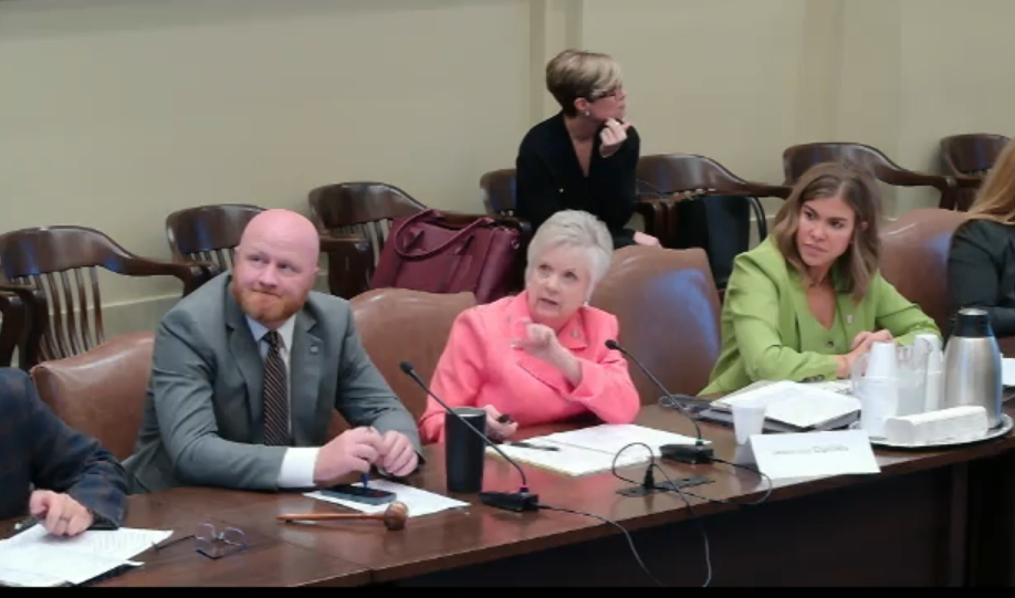 Panel of four adults at a wooden conference table in a formal meeting; woman in pink speaks into a microphone while others listen.